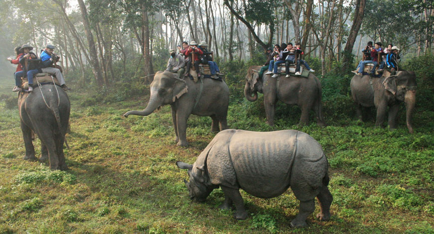 Chitwan Safari Extension